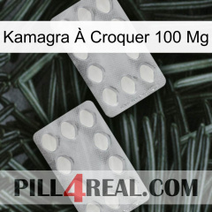 Kamagra À Croquer 100 Mg 17